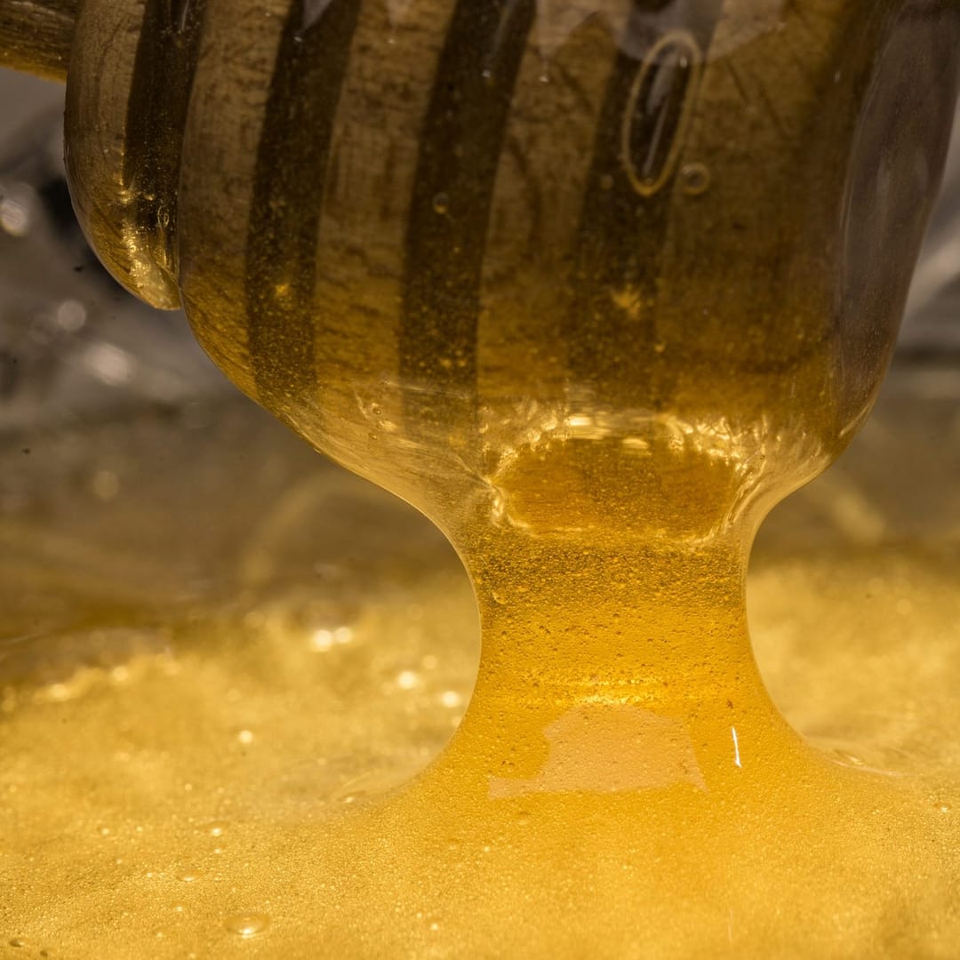 Madu Asli Madu Onggu Madu Asli Madu Hutan Madu Murni Madu Onggu